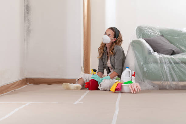 Reliable Mold Remediation contractor in Blue Bell, PA by Car Mold Remediation